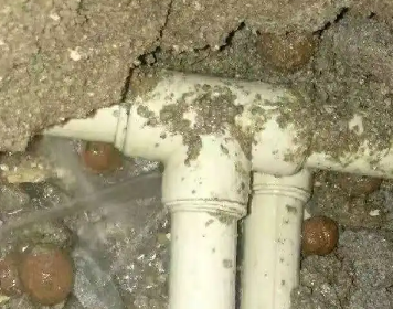 平武测漏水多少钱